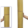Bambou Giant Ø 11-13cm