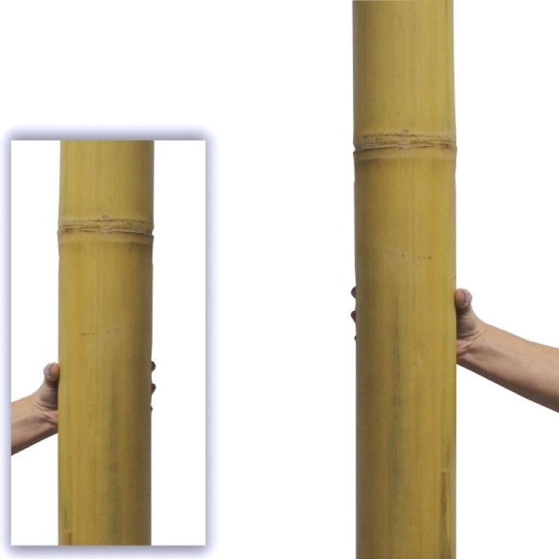 GIANT BAMBUSROHR Ø 10-11cm
