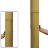GIANT BAMBUSROHR Ø 10-11cm