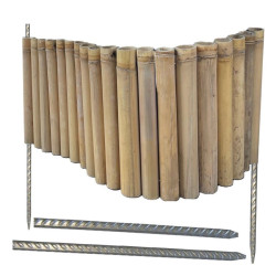 copie de Bambou Apus Ø 5-6cm