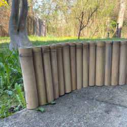 copie de Bambou Apus Ø 5-6cm