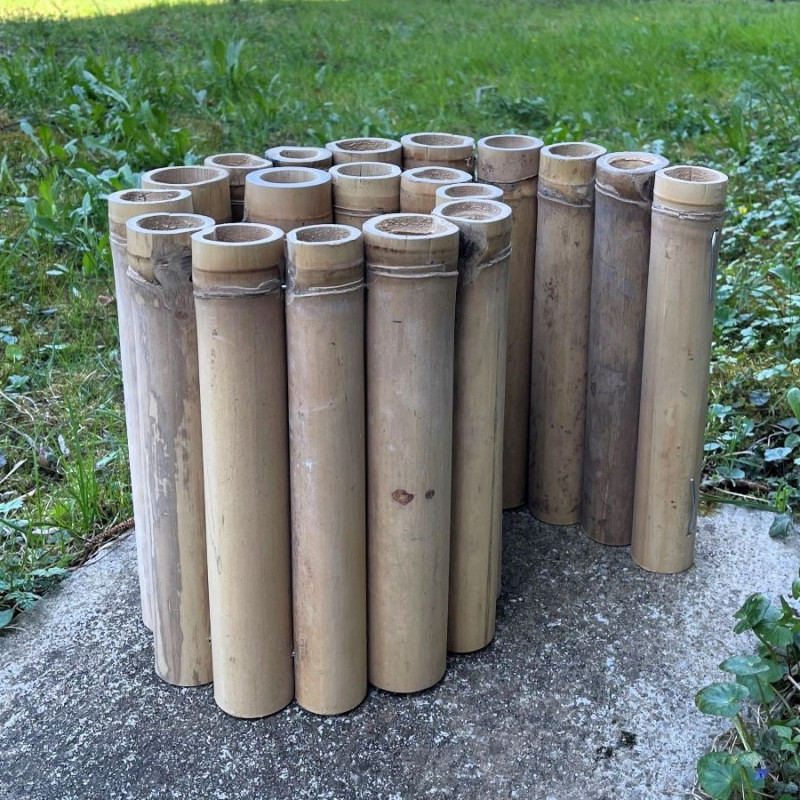 copie de Bambou Apus Ø 5-6cm