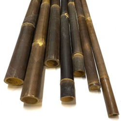 Handverlesene Black Bambusrohre Ø 3–4 cm – geprüft und rissfrei