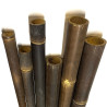 Canne di bambù nero Ø 3–4 cm per pergole, giardino e decorazione