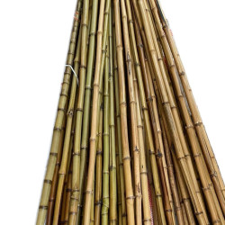 CENDANI Bambù Ø 1-2 x 200cm