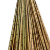 CENDANI Bambù Ø 1-2 x 200cm