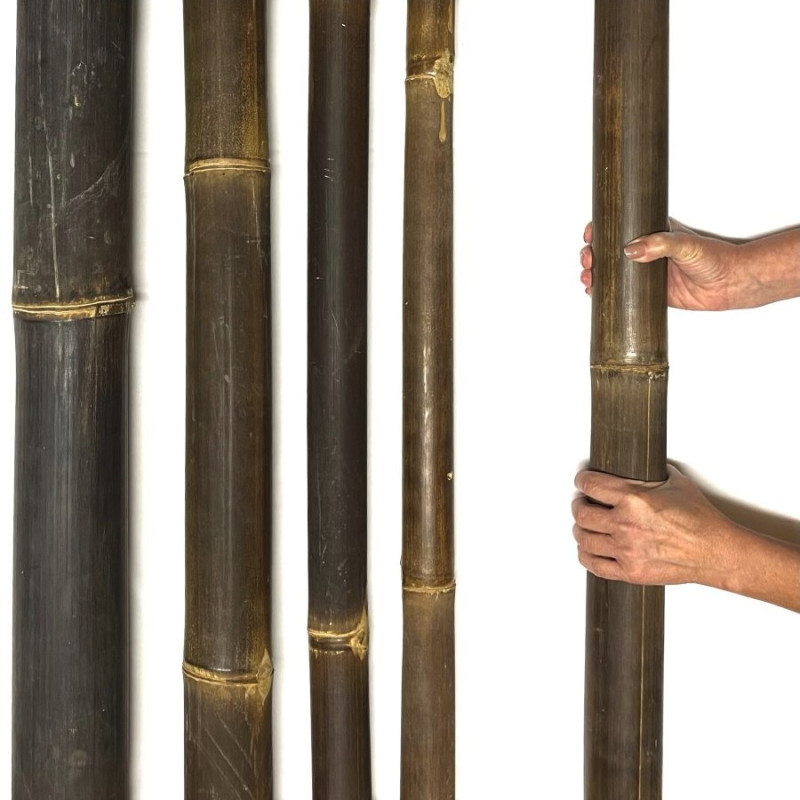 Java Bambusrohr 6-7cm