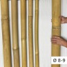 Apus Bambù Ø 8-9cm