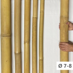 Apus Bambù Ø 7-8cm