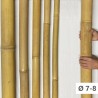 Apus Bambù Ø 7-8cm