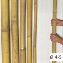 Apus Bambù Ø 4-5cm