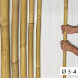 Apus Bambù Ø 3-4cm
