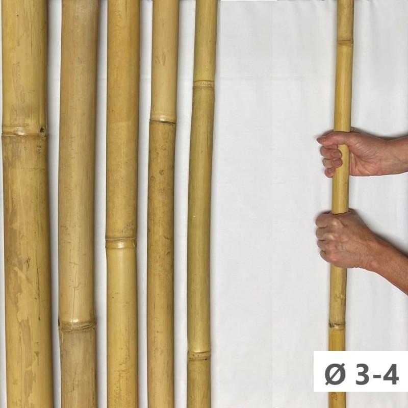 Apus Bambù Ø 3-4cm