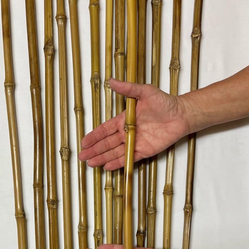 CENDANI Bambù Ø 1-2 x 200cm