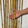 CENDANI Bambù Ø 1-2 x 200cm