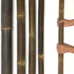 Tubes en bambou Java Ø 4–5cm avec découpe – droits et sans fissures