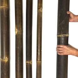 Java Bambusrohre Ø 8–9cm mit Zuschnitt – bis 240cm wähbar