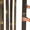 Tubes en bambou Java  avec découpe – droits et sans fissures