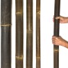 Canna di bambù Java con taglio 150–240cm – disponibile direttamente dal magazzino in Svizzera