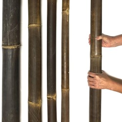 Tube en bambou Java découpé 150–240cm – adapté pour le jardin et l’intérieur