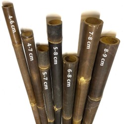 Java Bambusrohr mit Zuschnitt 10–140cm – robuste Bambusrohre aus Indonesien