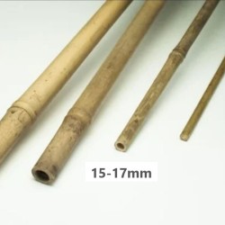 Tubes en bambou Tonkin de Chine en différents diamètres