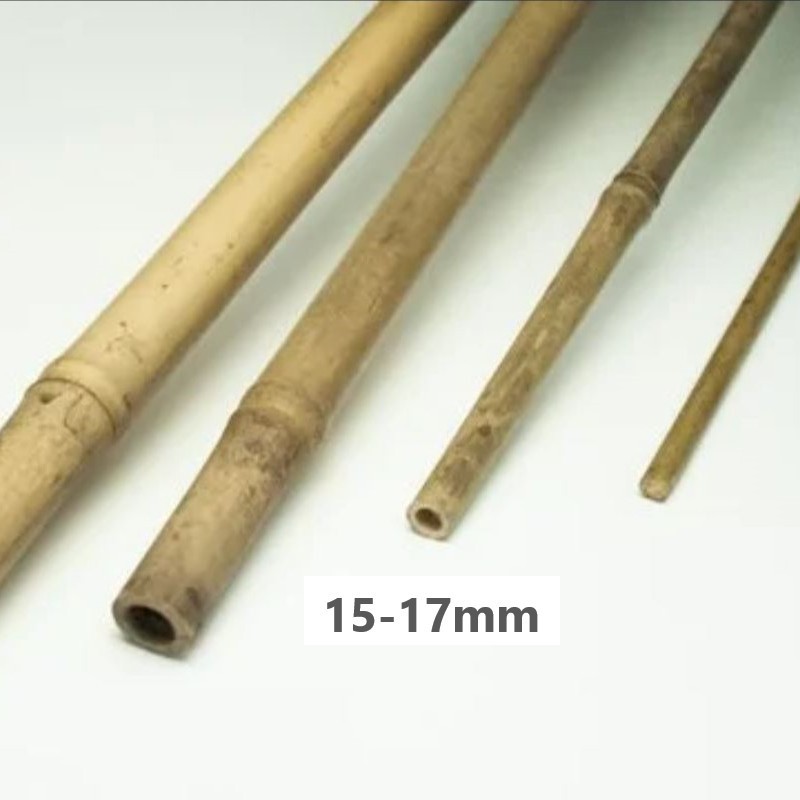 Tubes en bambou Tonkin de Chine en différents diamètres