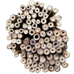 Tube en bambou Tonkin pour projets de jardin et construction