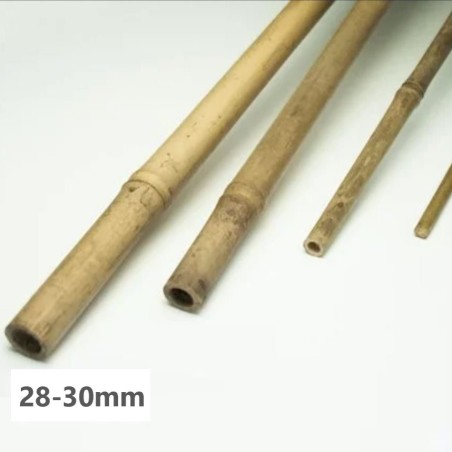 Tube en bambou Tonkin 150 cm – tige en bambou stable de Chine