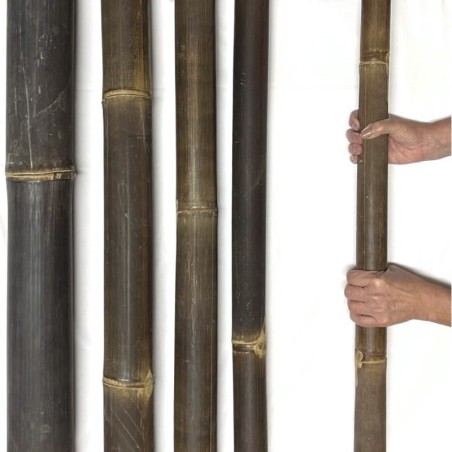 Tube en bambou noir Java Ø 3–4 cm – tube en bambou brun foncé d’Indonésie