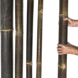 Black Bambusstange (Wulung) Ø 7–8 cm aus Java – dunkelbraune Bambusstange aus Indonesien