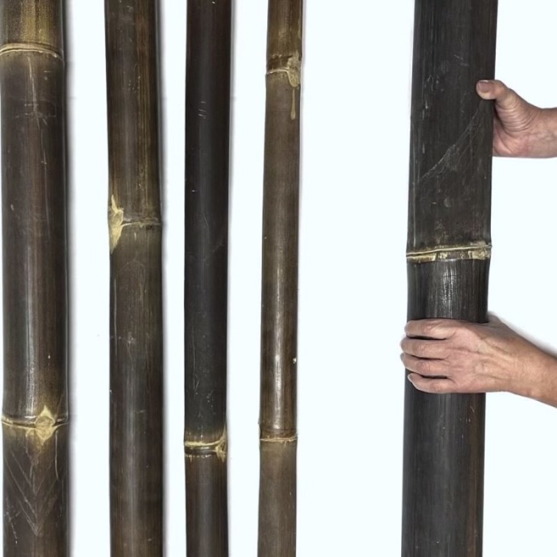 Black Bambusstangen aus Java – schwarze Bambusstangen für Shibari