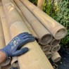 Handverlesene Giant Bambusrohre mit Zuschnitt – geprüft und rissfrei