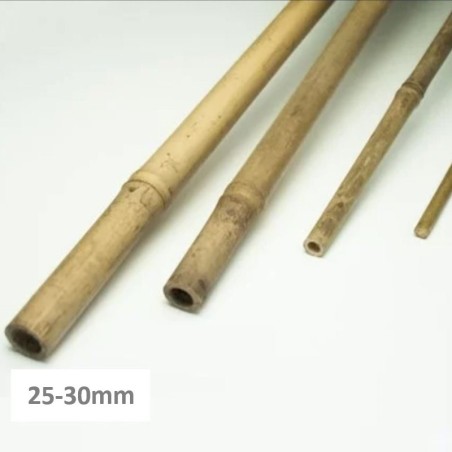 Tonkin Bambusrohr 150 cm – stabile Bambusstäbe aus China