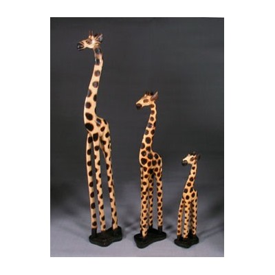 Giraffen stehend