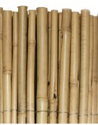 Canne di bambù Tonkin – aste stabili in bambù dalla Cina