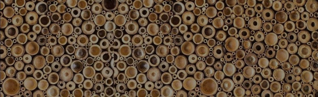 Bambusrohre von DICK bis DÜNN!